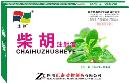 速净